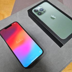 Apple iPhone 13 Pro グラファイト ケース付き