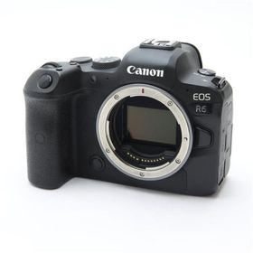 《並品》Canon EOS R6