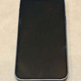 Apple iPhone 12 min ブラック 本体 ペリカン カバー付き