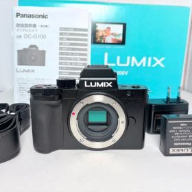 僅か1225ショット パナソニック LUMIX DC-G100 ボディ