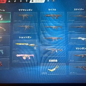 初期メアド譲渡可能 次レディバディ | VALORANT(ヴァロラント)のアカウントデータ、RMTの販売・買取一覧