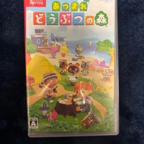 una❤︎様専用 あつまれ どうぶつの森 Nintendo Switch