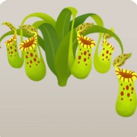 ウツボカズラの木 | リヴリーアイランドのアイテム、RMTの販売・買取一覧