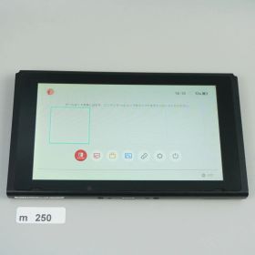 Nintendo Switch 本体のみ 訳あり 未対策機 ｍ250