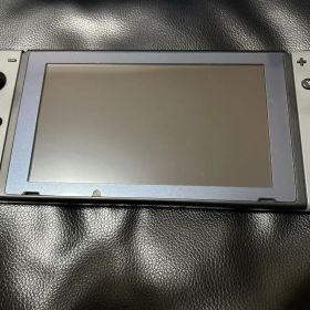 Nintendo Switch グレー 本体 付属品あり