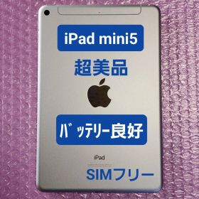超美品 iPad mini 5世代 バッテリー良好 64GB SIMフリー