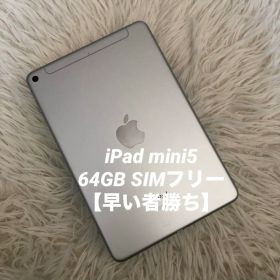 【12/12販売終了】iPad mini5 64GB SIMフリー 【すぐ発送】