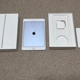 Apple iPad mini(第5世代) Wi-Fi 256GB 本体