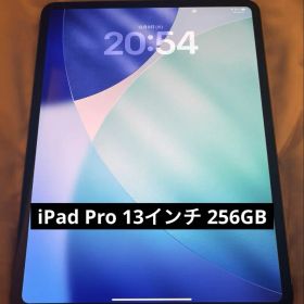 iPad Pro 13インチM4 256GB 本体のみ