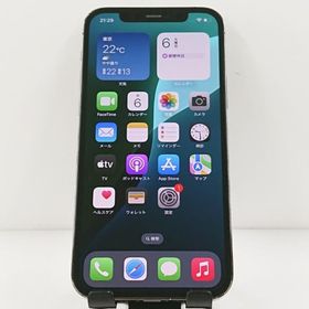 iPhone12 Pro 256GB ドコモ グラファイト 送料無料 即決 本体 c12192