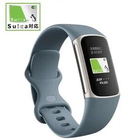 ◆送料無料◆新品◆GPS搭載フィットネストラッカー L/Sサイズ◆Fitbit Charge 5◆FB421SRBU-FRCJK スチールブルー/プラチナ◆即決◆