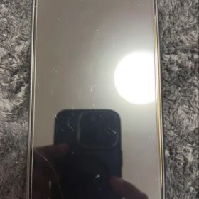 iPhone 13 Pro max COACH 使用初日から強化ガラス付き