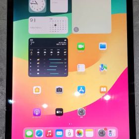 iPad pro 12.9インチ 第2世代 512GB Cellular