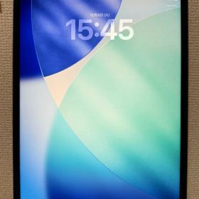 iPad Pro 12.9インチ 第5世代 M1 Wi-Fiモデルの1TB