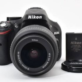 ショット数1341回 Nikon ニコン D5200 レンズセット #970