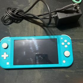 Switchライト ターコイズブルー ジャンク品 水没