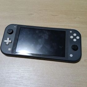 Nintendo Switch Lite グレー 本体 ジャンク