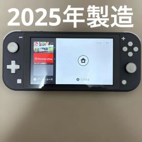 【完動品】 Nintendo Switch Lite グレー 本体