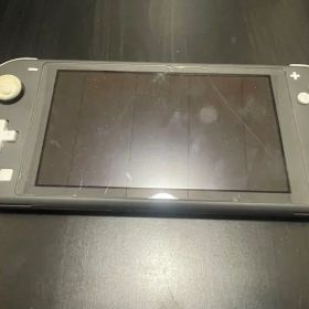 Nintendo Switch Lite グレー