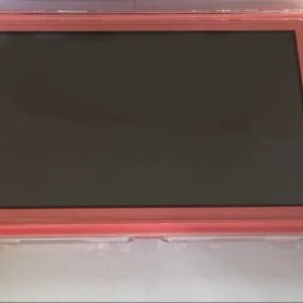 Nintendo Switch Lite コーラル 本体