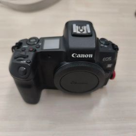 Canon EOS R + EF-EOS R