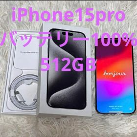 【極美品】Apple iPhone 15 Pro 本体 512gb