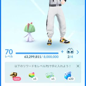 引退垢 | ポケモンGOのアカウントデータ、RMTの販売・買取一覧
