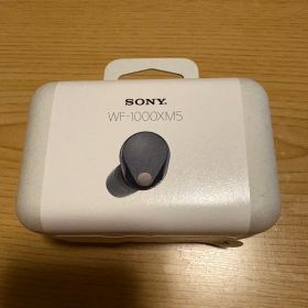SONY WF-1000XM5 ぼっちざろっく 後藤ひとり ワイヤレスイヤホン