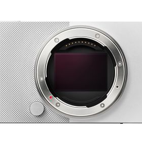 シグマ Sigma BF ボディ