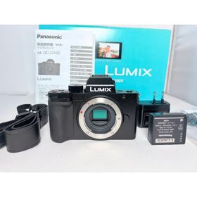 パナソニック(Panasonic)の僅か1225ショット パナソニック LUMIX DC-G100 ボディ(ミラーレス一眼)