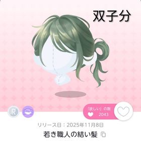 若き職人の結い髪 ≪双子分≫ | ポケコロツイン(ポケツイ)のアカウントデータ、RMTの販売・買取一覧