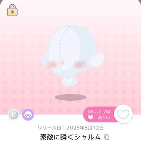 素敵に瞬くシャルム | ポケコロツイン(ポケツイ)のアカウントデータ、RMTの販売・買取一覧