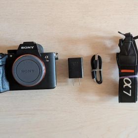 SONYα7Ⅲボディ