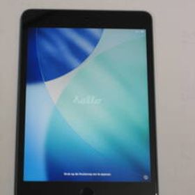 iPad mini 第5世代 256GB Wi-Fi スペースグレイ MUU32J/A A2133 純正カバー等のおまけ付