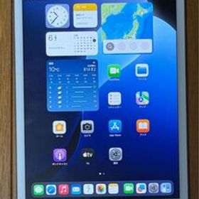 iPad mini (第5世代) Wi-Fi + Cellular 64GB シルバー おまけ付き (Apple Pencil カバー)