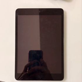 iPad mini (第1世代)のメイン画像