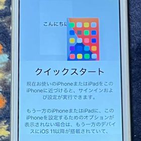 Apple iPhone SE シルバー 本体