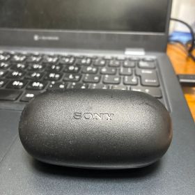 SONY ワイヤレスイヤホン WFXB700
