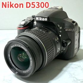 Nikon D5300 デジタル一眼レフカメラ バリアングル液晶Wi-Fi機能付