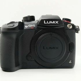 パナソニック Panasonic ミラーレス一眼 ボディ フォーサーズ LUMIX DC-GH5S 【中古】