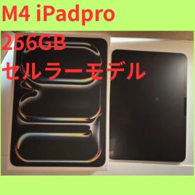 iPad Pro M4 11インチ256GB セルラーモデル
