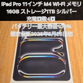 【未使用】iPad Pro 11インチ M4 Wi-Fi メモリ16GB 1TB