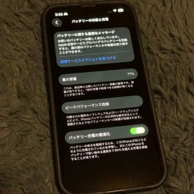 Apple iPhone 13 Pro 256GB バッテリー71% おまけ付き