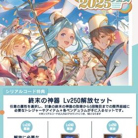 グラブルEXTRAフェス2025 終末の神器 Lv250解放セット | グラブルのアカウントデータ、RMTの販売・買取一覧