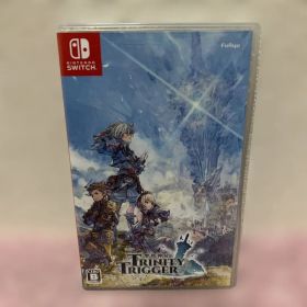 Nintendo Switch ソフト 聖塔神記 トリニティトリガー