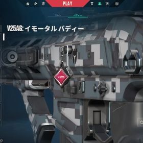 限定スキン VP8446 V25 イモータル2 スキン多数 初期メールアドレス譲渡可能 | VALORANT(ヴァロラント)のアカウントデータ、RMTの販売・買取一覧