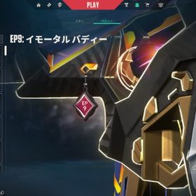 Champions2024 EP9 イモータル2 スキン多数 VP3028 初期メールアドレス譲渡可 | VALORANT(ヴァロラント)のアカウントデータ、RMTの販売・買取一覧