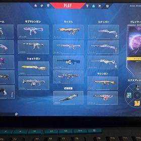 プラチナ垢引退 | VALORANT(ヴァロラント)のアカウントデータ、RMTの販売・買取一覧