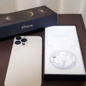 12/12限定セール【傷なし】iPhone 12 Pro Max 256GB