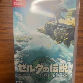 ゼルダの伝説 ティアーズオブザキングダム Nintendo Switch